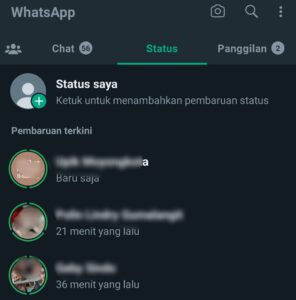 Ternyata Lingkaran Hijau di WhatsApp dan Biru di Foto Profil Ini Artinya