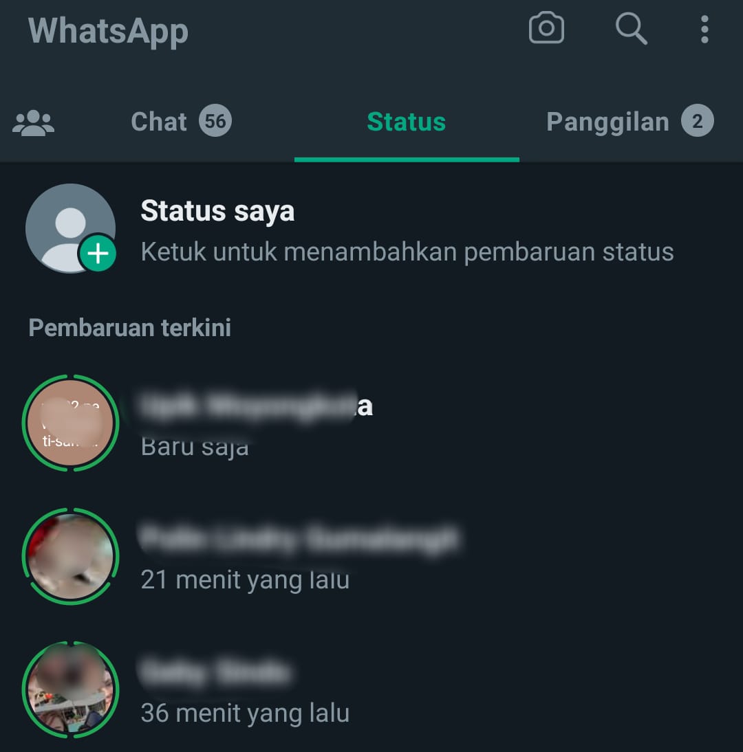 Arti Lingkaran Hijau di WhatsApp dan Foto Profil