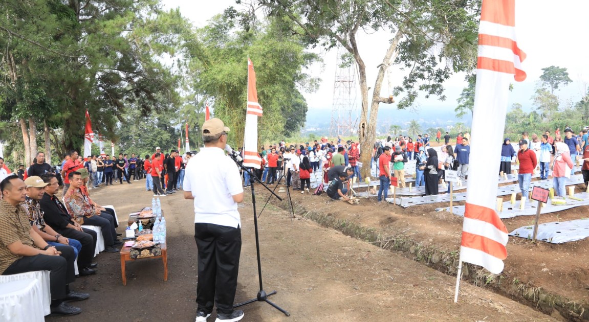 Pencanangan Penanaman 10 ribu cabai
