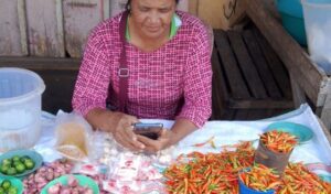 Dinas Ketapang Bolmong Pastikan Harga Bapok Stabil dan Terkendali, Pasokan Tersedia