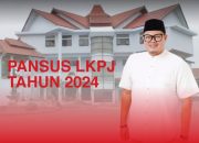 Pansus LKPJ Anggaran 2024 Mulai Bekerja, Shandry Hasanuddin: Ada 42 OPD Dimintai Keterangan