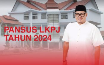Anggota Pansus LKPJ 2024, Shandry Anugerah Hasanuddin
