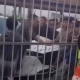 Anggota DPRD Cilegon Tabrak Pendemo PT Bungasari