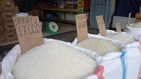 Contoh Beras Asli yang di Jual di Pasar