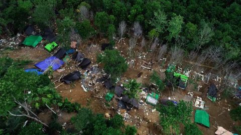 Hutan Konservasi Ratatotok Terancam, Tambang Ilegal Merajalela, Ekosistem Rusak