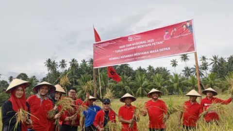 PDIP Kotamobagu Rayakan Hari Tani Nasional 2025 dengan Turun ke Sawah: Dorong Kedaulatan Pangan dan Regenerasi Petani