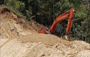 Polda Diminta Tutup PETI Milik Norma Makalalag di Perkebunan Salak Tobongon 