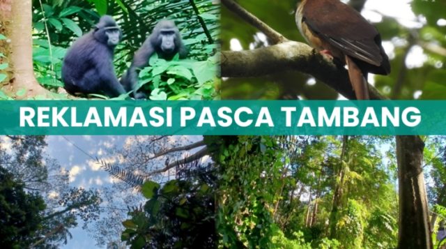 Lanut dan Janji Hijau JRBM: Menutup Luka, Menumbuhkan Harapan