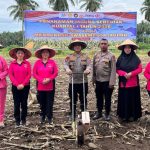 Kapolres Boltim AKBP Golfried Hasiholan bersama jajaran Forkopimda, Bhayangkari, dan personel Polres mengikuti penanaman jagung serentak Kuartal I Tahun 2026 di Desa Tuturus, Sabtu (7/3/2026). Kegiatan ini menjadi bagian dari gerakan nasional mendukung swasembada jagung dan ketahanan pangan.