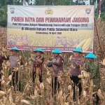 Irjen Pol Kalingga bersama jajaran Polri, Wali Kota Kotamobagu, Weny Gaib, dan kelompok tani memimpin panen jagung serentak di Kotamobagu, Sulawesi Utara, sebagai simbol sinergi memperkuat ketahanan pangan dan membuka peluang ekonomi bagi masyarakat.