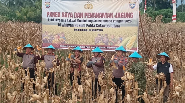 Dipimpin Irjen Pol Kalingga, Polri Gelar Panen Jagung Bersama di Kotamobagu
