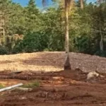 Kondisi lahan di perkebunan Nuntap, Dumoga, yang rusak akibat aktivitas penambangan emas ilegal (PETI) menggunakan alat berat. Kawasan hutan yang sebelumnya hijau kini berubah menjadi kubangan tanah dan kolam material, memicu ancaman longsor serta banjir bagi masyarakat sekitar.