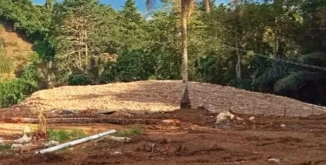 Kondisi lahan di perkebunan Nuntap, Dumoga, yang rusak akibat aktivitas penambangan emas ilegal (PETI) menggunakan alat berat. Kawasan hutan yang sebelumnya hijau kini berubah menjadi kubangan tanah dan kolam material, memicu ancaman longsor serta banjir bagi masyarakat sekitar.