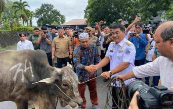 Gubernur Sulut Yulius Selvanus menyerahkan bantuan sapi kurban Idul Adha 2026. (Foto: Dok. Pemprov Sulut)