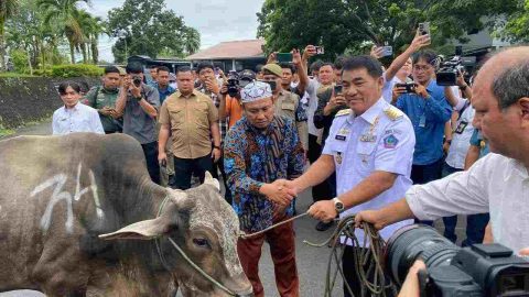 Gubernur Sulut Yulius Selvanus menyerahkan bantuan sapi kurban Idul Adha 2026. (Foto: Dok. Pemprov Sulut)