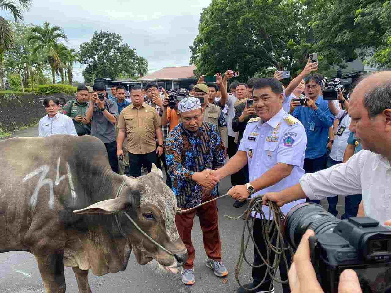 Gubernur Sulut Yulius Selvanus menyerahkan bantuan sapi kurban Idul Adha 2026. (Foto: Dok. Pemprov Sulut)