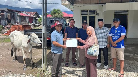Wujud Syukur, Koperasi Produsen Perintis Tanoyan Sumbang Dua Ekor Sapi Kurban 
