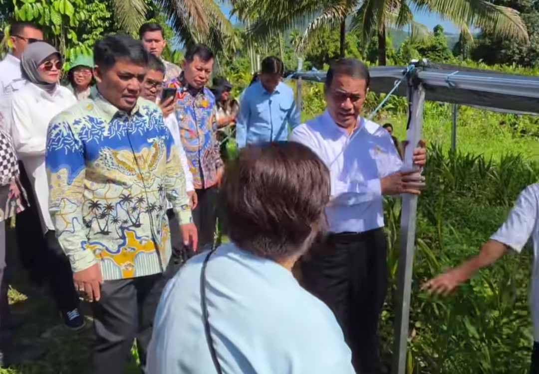 Menteri Pertanian Andi Amran Sulaiman (kanan, berbaju putih) dan Gubernur Sulawesi Utara Yulius Selvanus (kiri, berbaju batik kuning) saat meninjau lokasi pertanian di Manado, Sulawesi Utara. Kunjungan ini merupakan bagian dari koordinasi untuk merealisasikan penambahan alokasi bibit jagung seluas 15 ribu hektare di provinsi tersebut guna memperkuat swasembada pangan.