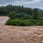 Aliran Sungai Moayat tampak keruh dan meluap setelah hujan deras. Diduga, limbah pengolahan emas tanpa izin di hulu sungai mencemari air dan memicu kematian massal ikan di kolam warga.