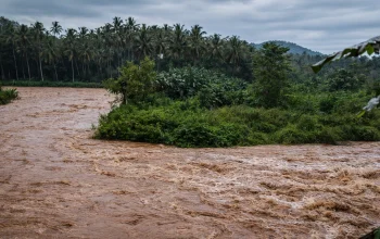 Aliran Sungai Moayat tampak keruh dan meluap setelah hujan deras. Diduga, limbah pengolahan emas tanpa izin di hulu sungai mencemari air dan memicu kematian massal ikan di kolam warga.