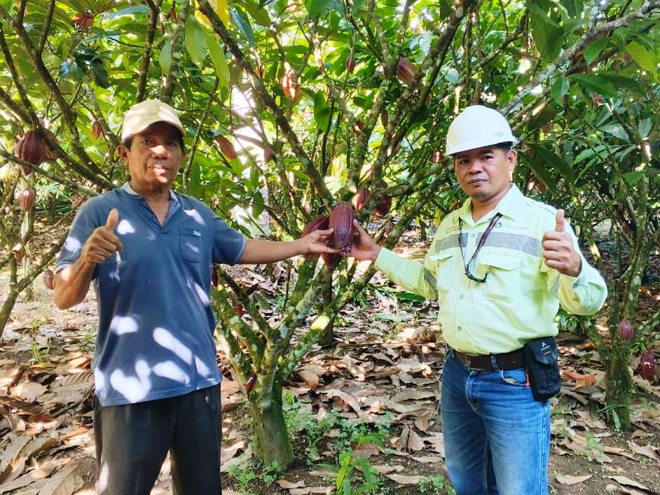 Hajan Paputungan menunjukkan buah kakao hasil varietas unggul di kebunnya di Desa Matali Baru, Bolmong. Foto: Ist