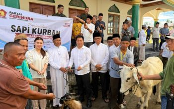 Wakil Ketua DPD Gerindra Sulut sekaligus Wakil Bupati Bolmong, Dony Lumenta, bersama Dhea Eucharisty Lumenta saat menyerahkan hewan kurban di halaman Masjid Al-Kautsar Desa Babo, Kecamatan Sang Tombolang, Rabu (27/5/2026)