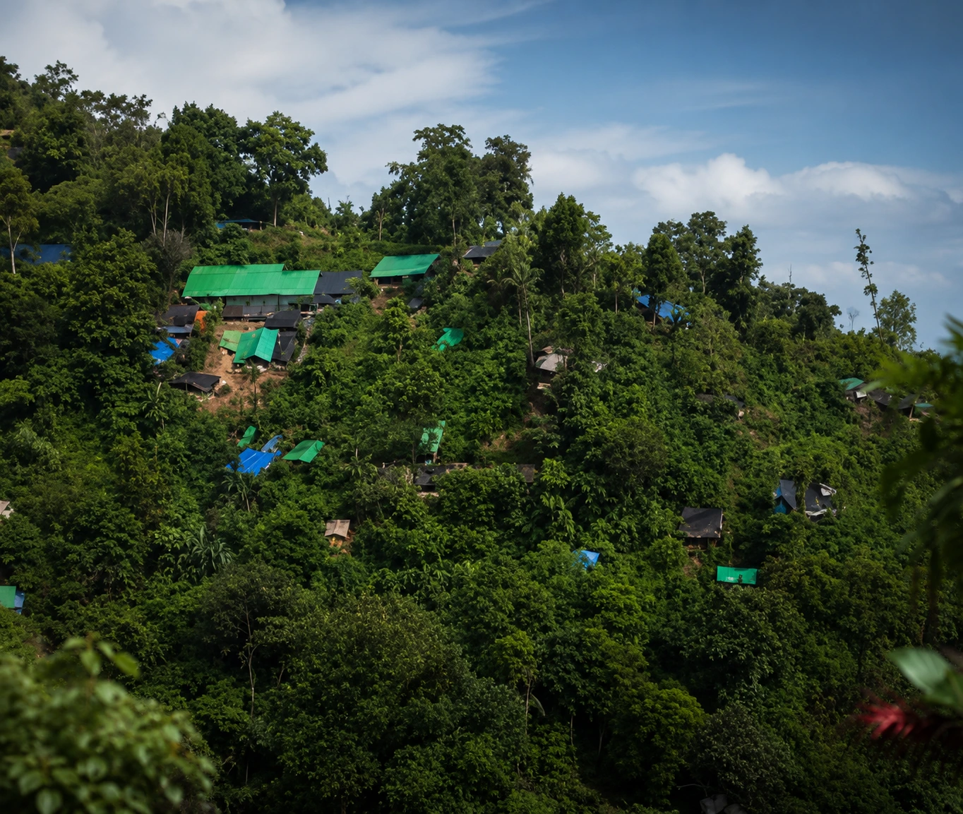 Kawasan hutan Taman Nasional Bogani Nani Wartabone (TNBNW) di Bolaang Mongondow, Sulawesi Utara, masih menghadapi ancaman aktivitas Pertambangan Emas Tanpa Izin (PETI). Warga menilai penertiban di Mengkang tebang pilih dan menuntut keadilan ekologis di Dumoga. Foto: Ist