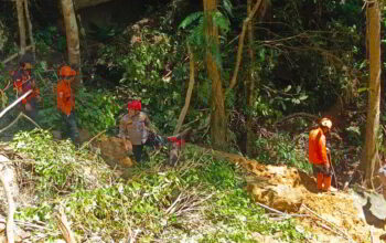 Tim SAR gabungan bersama anjing pelacak K-9 Polda Sulut menyisir material longsoran di kawasan PETI Lokasi Patung, Desa Mopait, Lolayan, Bolmong, Kamis (2/7/2026).