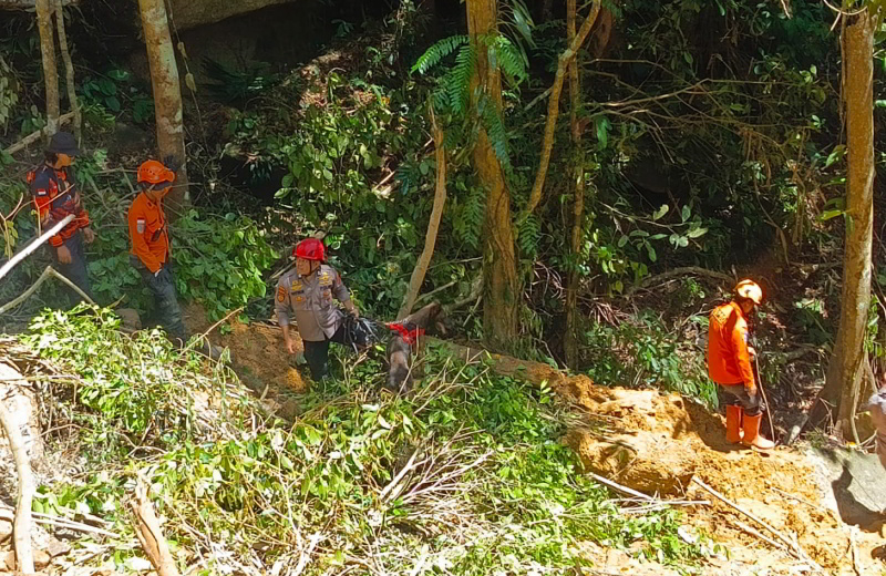Tim SAR gabungan bersama anjing pelacak K-9 Polda Sulut menyisir material longsoran di kawasan PETI Lokasi Patung, Desa Mopait, Lolayan, Bolmong, Kamis (2/7/2026).