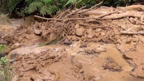 Aktivitas PETI di Mintu Boltim Picu Ancaman Banjir Bandang, Kapolres: Akan Ditutup 3 Kondisi Sungai Motongkad di Boltim yang tercemar lumpur akibat aktivitas PETI di hutan lindung Mintu. Kerusakan ini mengancam pasokan air bersih dan sektor pertanian warga.