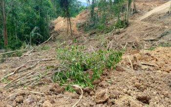 Kapolres Boltim: Aktivitas PETI di Desa Bai Ditutup 3 Lokasi dugaan aktivitas Pertambangan Emas Tanpa Izin (PETI) di kawasan Perkebunan Kayu Manis, Desa Bai, Kecamatan Nuangan