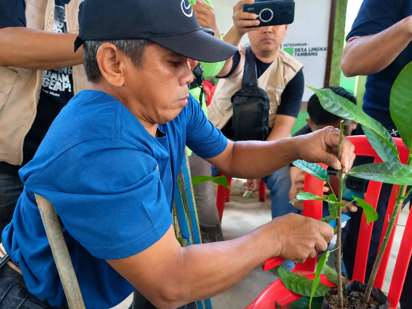 Kamardin Pontoh, spesialis sambung pucuk asal Desa Bakan, mendemonstrasikan teknik menyambung entres kakao varietas Sulawesi 2 (S2) pada bibit kakao lokal di Desa Matali Baru, Kecamatan Lolayan, Kabupaten Bolaang Mongondow, Jumat, 18 September 2026. Kegiatan yang disaksikan peserta pelatihan PT JRBM, pemateri Tempo Institute, serta warga setempat ini bertujuan untuk mengenalkan teknik perbanyakan tanaman unggul guna meningkatkan produktivitas dan kualitas panen kakao petani lokal. Foto: Pasra Hidayat Mamonto